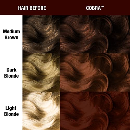 MANIC PANIC Mocha Mousse Bundle with Dark Star Gray & SuperNatural Cobra Brown Hair Dye - Image 5